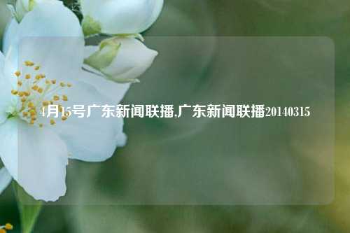 4月15号广东新闻联播,广东新闻联播20140315