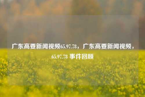 广东高要新闻视频65.97.78，广东高要新闻视频，65.97.78 事件回顾