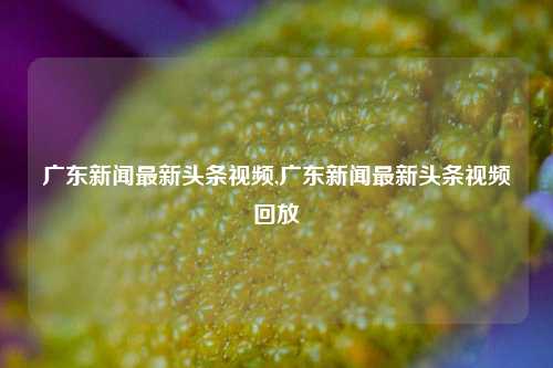 广东新闻最新头条视频,广东新闻最新头条视频回放