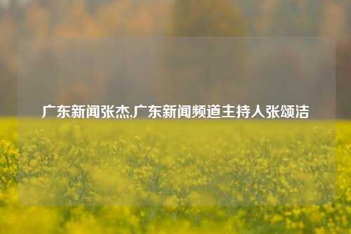 广东新闻张杰,广东新闻频道主持人张颂洁