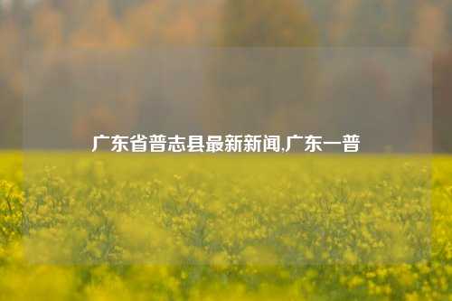 广东省普志县最新新闻,广东一普