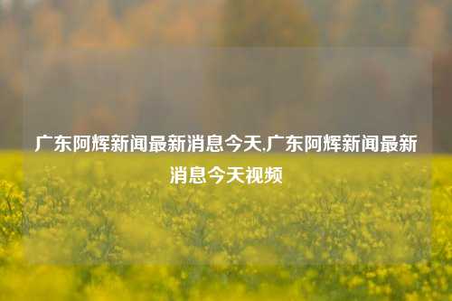 广东阿辉新闻最新消息今天,广东阿辉新闻最新消息今天视频