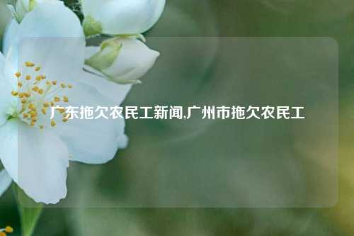 广东拖欠农民工新闻,广州市拖欠农民工