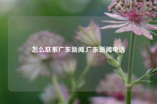 怎么联系广东新闻,广东新闻电话