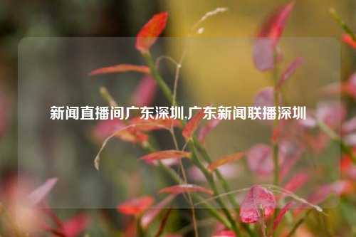 新闻直播间广东深圳,广东新闻联播深圳