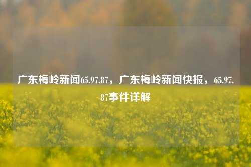 广东梅岭新闻65.97.87，广东梅岭新闻快报，65.97.87事件详解