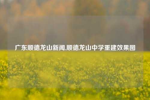 广东顺德龙山新闻,顺德龙山中学重建效果图