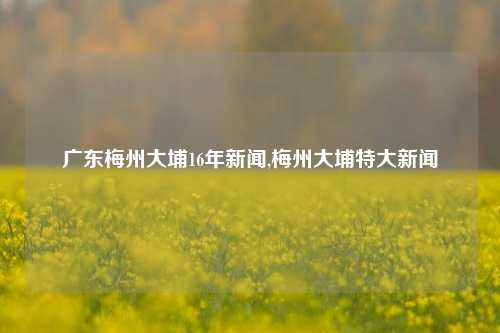 广东梅州大埔16年新闻,梅州大埔特大新闻