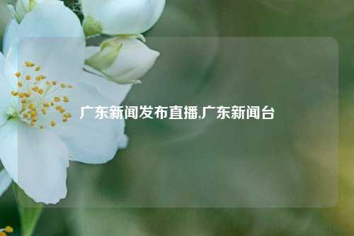 广东新闻发布直播,广东新闻台