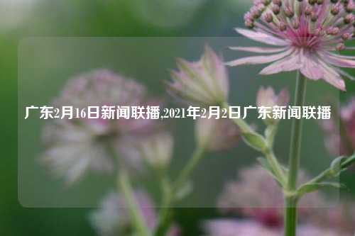 广东2月16日新闻联播,2021年2月2日广东新闻联播