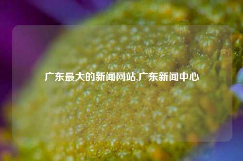 广东最大的新闻网站,广东新闻中心