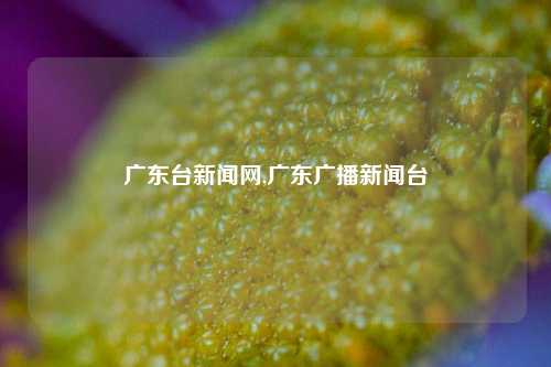 广东台新闻网,广东广播新闻台