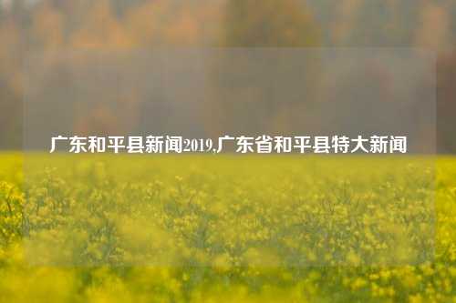 广东和平县新闻2019,广东省和平县特大新闻