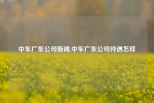 中车广东公司新闻,中车广东公司待遇怎样