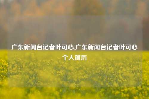 广东新闻台记者叶可心,广东新闻台记者叶可心个人简历