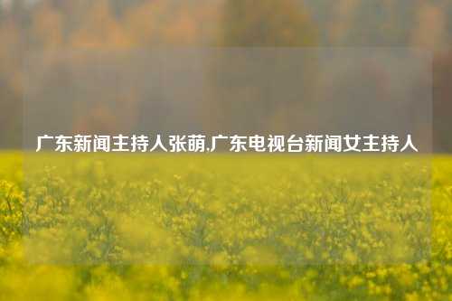 广东新闻主持人张萌,广东电视台新闻女主持人