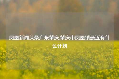 凤凰新闻头条广东肇庆,肇庆市凤凰镇最近有什么计划