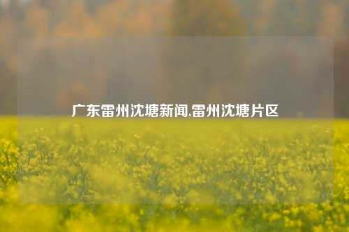 广东雷州沈塘新闻,雷州沈塘片区