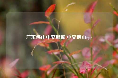 广东佛山中交新闻,中交佛山epc