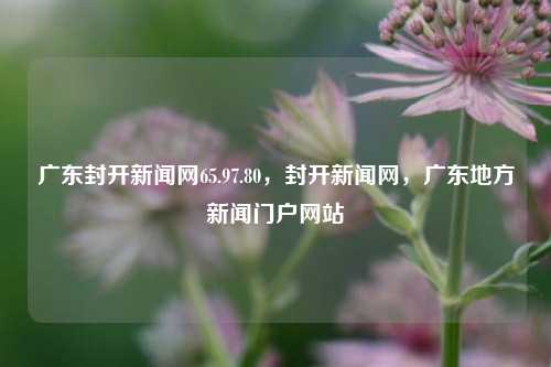 广东封开新闻网65.97.80，封开新闻网，广东地方新闻门户网站