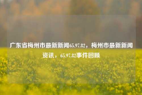 广东省梅州市最新新闻65.97.82，梅州市最新新闻资讯，65.97.82事件回顾