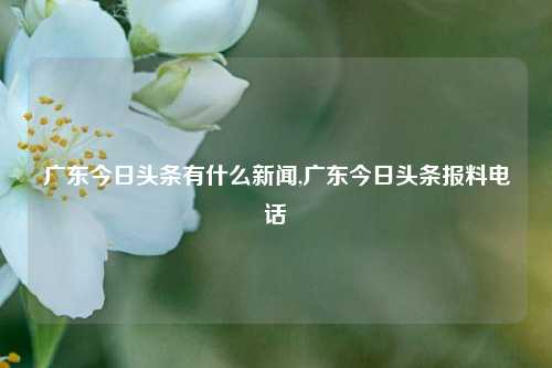 广东今日头条有什么新闻,广东今日头条报料电话