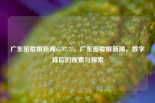 广东密歇根新闻65.97.77，广东密歇根新闻，数字背后的观察与探索