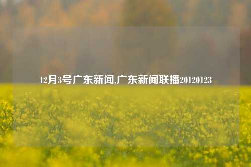 12月3号广东新闻,广东新闻联播20120123