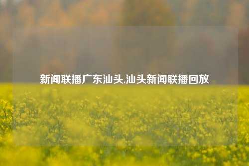 新闻联播广东汕头,汕头新闻联播回放