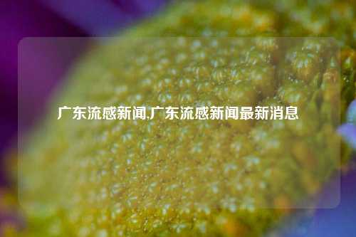 广东流感新闻,广东流感新闻最新消息