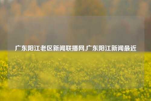 广东阳江老区新闻联播网,广东阳江新闻最近