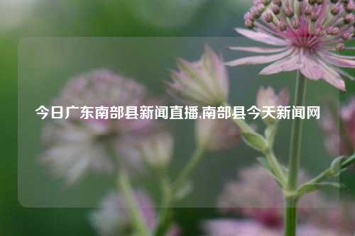 今日广东南部县新闻直播,南部县今天新闻网