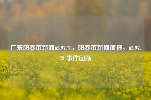 广东阳春市新闻65.97.78，阳春市新闻简报，65.97.78 事件回顾