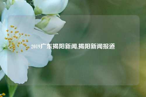 2019广东揭阳新闻,揭阳新闻报道