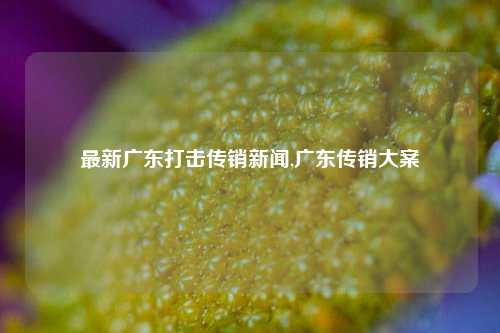 最新广东打击传销新闻,广东传销大案