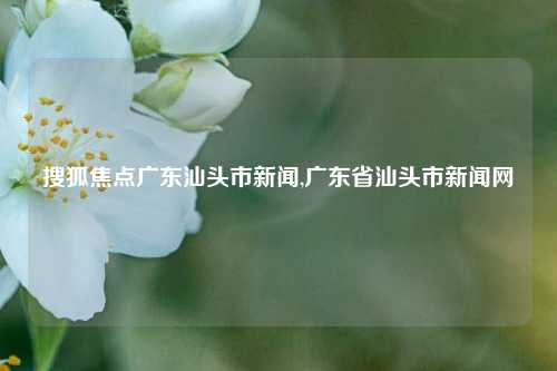 搜狐焦点广东汕头市新闻,广东省汕头市新闻网