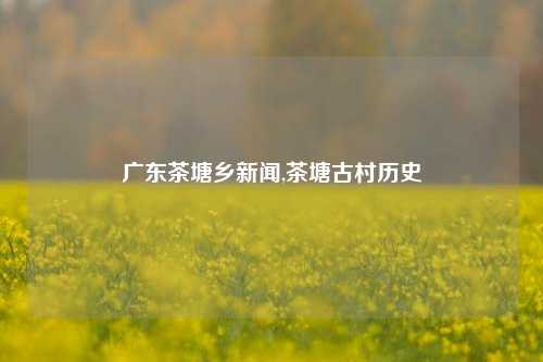 广东茶塘乡新闻,茶塘古村历史