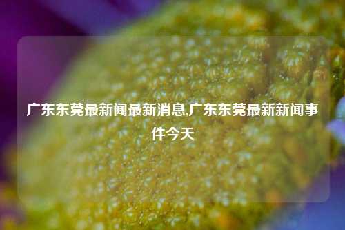 广东东莞最新闻最新消息,广东东莞最新新闻事件今天