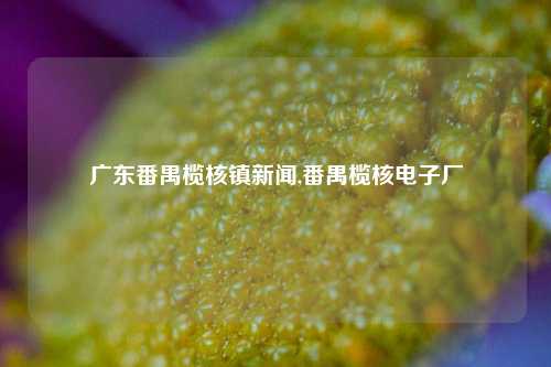 广东番禺榄核镇新闻,番禺榄核电子厂