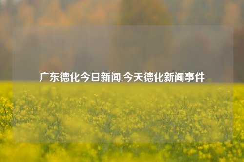 广东德化今日新闻,今天德化新闻事件