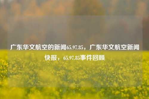 广东华文航空的新闻65.97.85，广东华文航空新闻快报，65.97.85事件回顾