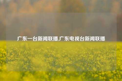 广东一台新闻联播,广东电视台新闻联播