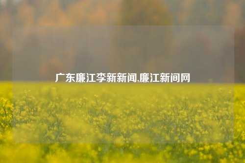 广东廉江李新新闻,廉江新间网