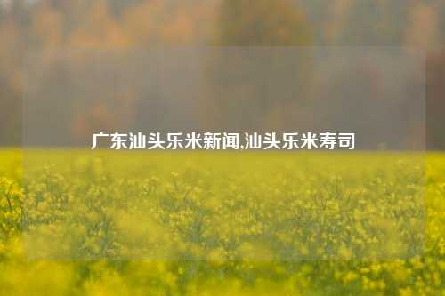 广东汕头乐米新闻,汕头乐米寿司