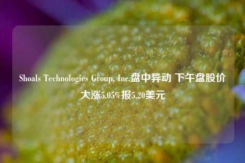 Shoals Technologies Group, Inc.盘中异动 下午盘股价大涨5.05%报5.20美元