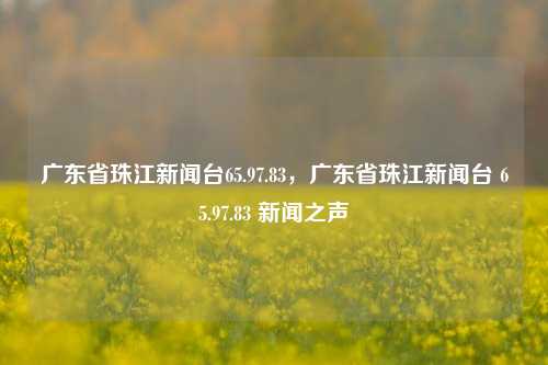 广东省珠江新闻台65.97.83，广东省珠江新闻台 65.97.83 新闻之声