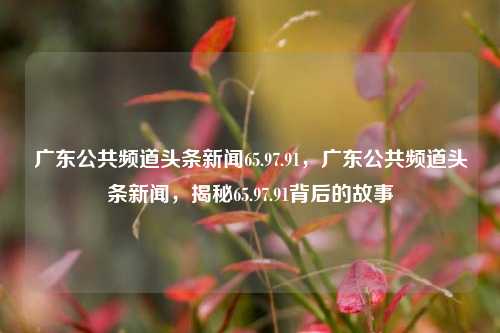 广东公共频道头条新闻65.97.91，广东公共频道头条新闻，揭秘65.97.91背后的故事