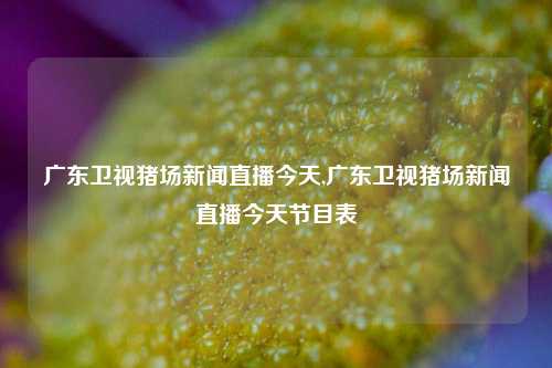 广东卫视猪场新闻直播今天,广东卫视猪场新闻直播今天节目表