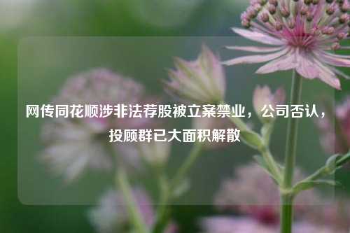 网传同花顺涉非法荐股被立案禁业，公司否认，投顾群已大面积解散