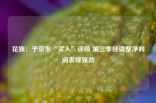 花旗：予京东“买入”评级 第三季经调整净利润表现强劲